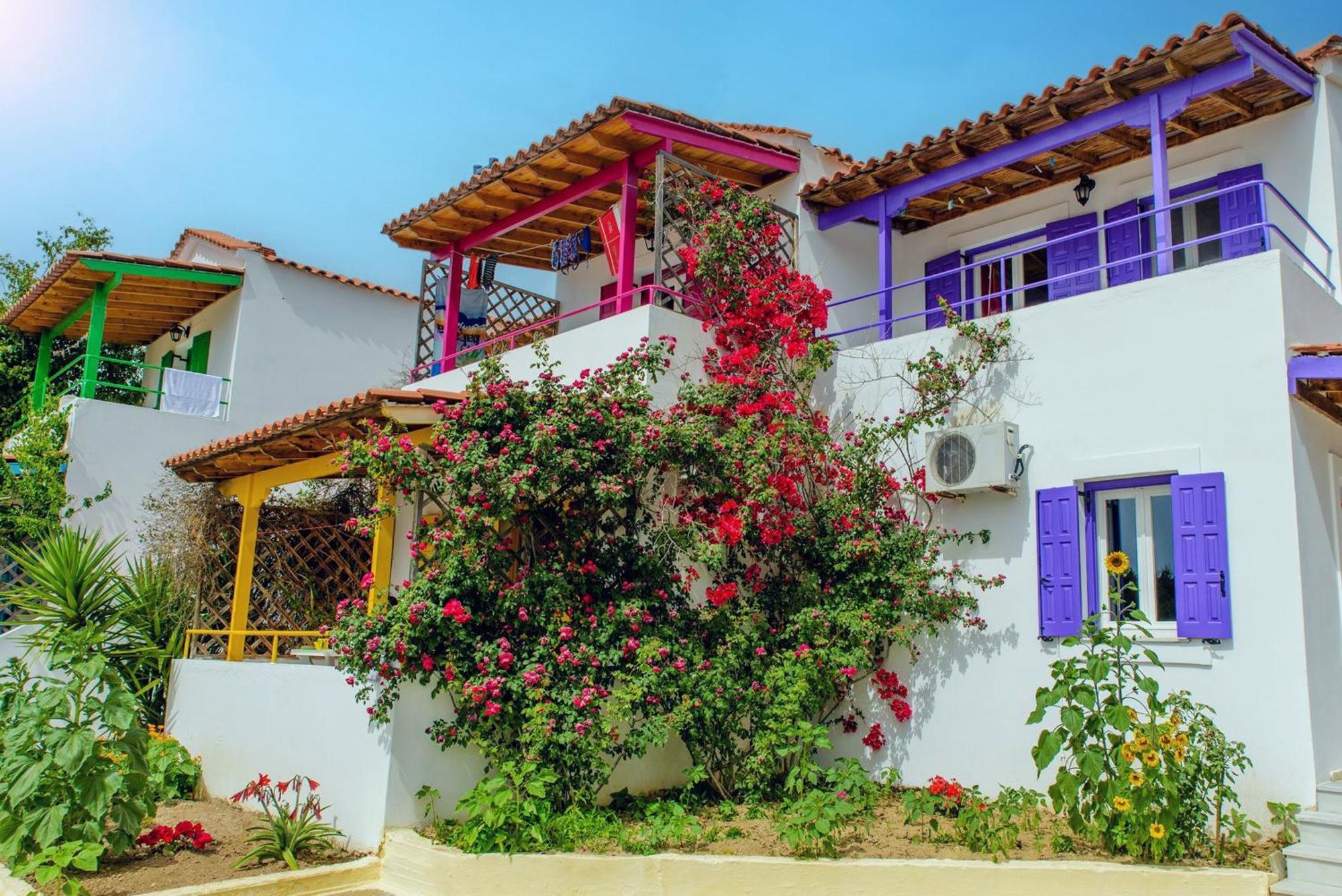 מאראת'וקאמפוס Sunflowers Apartments מראה חיצוני תמונה